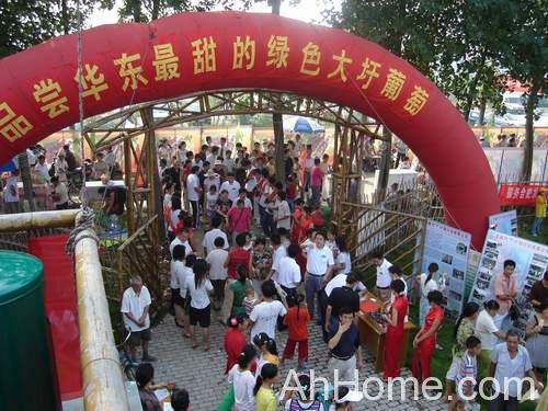 合肥<a href='display.asp?id=8744' target='_blank'>大圩葡萄节</a> 包河<a href='display.asp?id=8744' target='_blank'>大圩葡萄节</a> 大圩葡萄节什么时候开始