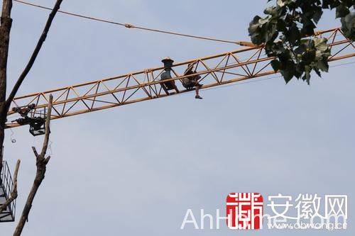 砀山女子爬高塔吊自杀 砀山女子自杀中暑  爬上塔吊要轻生