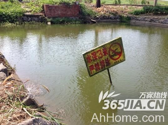 大圩镇母子三人死亡 大圩水渠三具尸体 母子三人死亡
