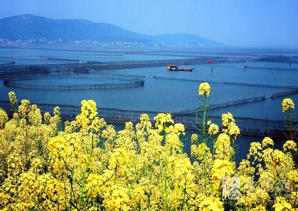 太湖招商引资 安庆经济建设