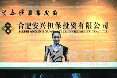 合肥安兴担保公司 安兴担保公司高管受审 合肥安兴<a href='display.asp?id=14436' target='_blank'>融资</a>担保公司诈骗
