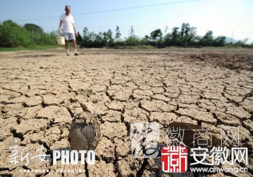 安徽高温 安徽干旱 庐江
