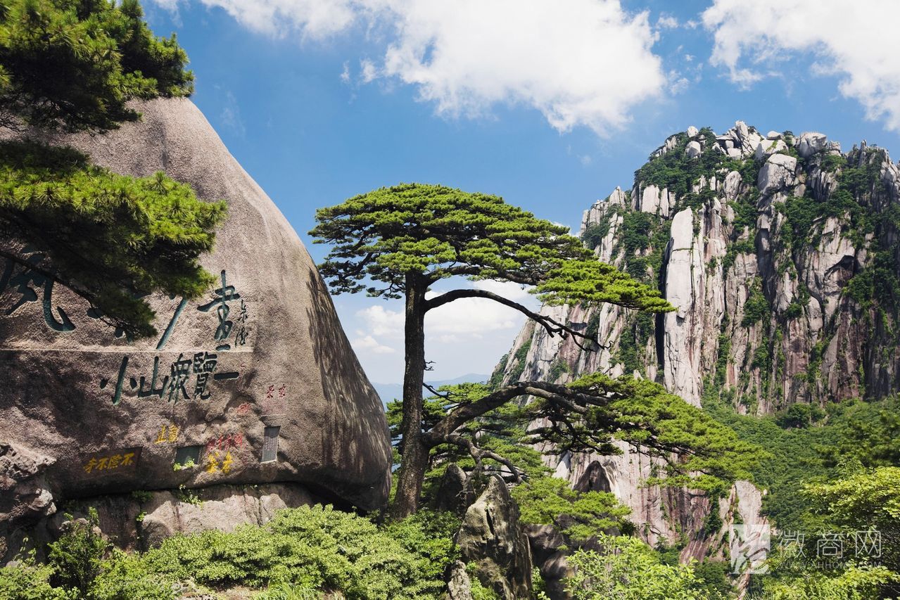 <a href='display.asp?id=12239' target='_blank'>黄山</a>入围“东亚文化之都” 黄山迎客松