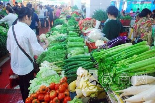 高温导致合肥菜价上涨 合肥菜价 上涨