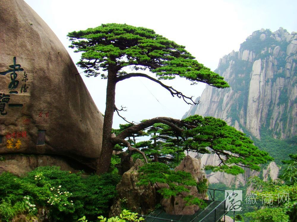 东亚文化之都 <a href='display.asp?id=12239'  target='_blank'>黄山</a>