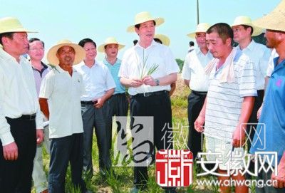 张宝顺 抗旱 安庆