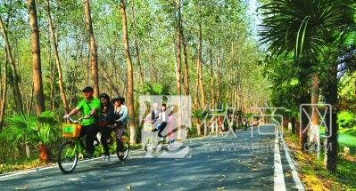 42路公交车直达滨湖湿地公园 市民在滨湖湿地公园游玩