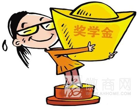 合肥个性奖学金获奖名单 小学生个性奖学金