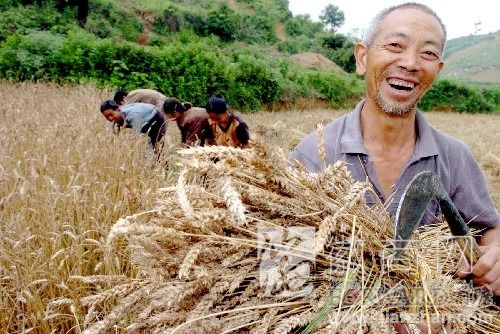 农民人均现金收入 农民