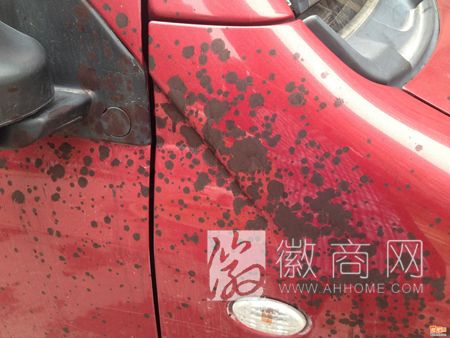 合肥玉翠园小区4辆车被泼强酸 被泼了强酸的车