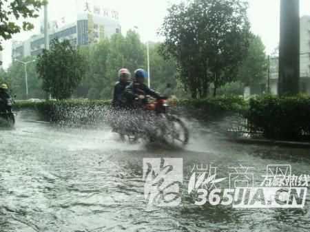 合肥 暴雨 积水