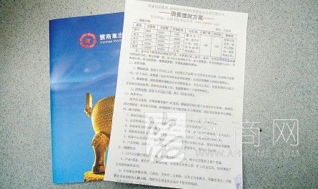 合肥某机构非法集资 刘总向记者出示的“内部资料”