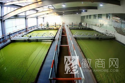 合肥首座藻水分离站9月启用 藻水分离系统