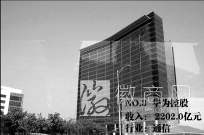 三家<a href='display.asp?id=12270' target='_blank'>皖企</a>入选2013中国民企500强 华为在2013中国民企500强中排名第三