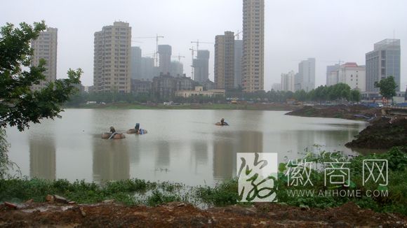 <a href='display.asp?id=11916'  target='_blank'>芜湖</a> 合肥 房价
