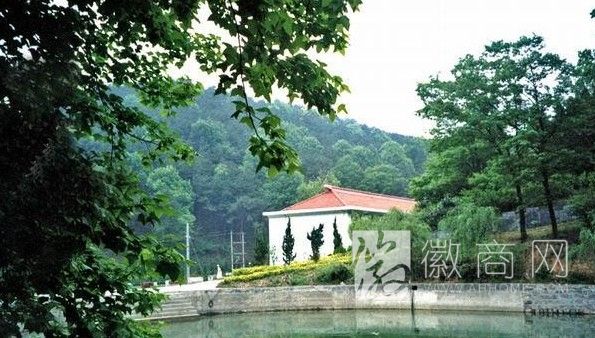 合<a href='display.asp?id=11739' target='_blank'>肥东</a>庵森林公园规划完成 合<a href='display.asp?id=11739' target='_blank'>肥东</a>庵森林公园