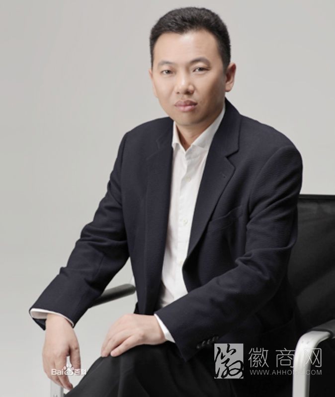 仰智慧 蓝鼎 安徽蓝鼎控股集团