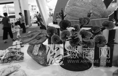 2013年<a href='display.asp?id=8840' target='_blank'>农交会</a>开幕 展会上的农产品