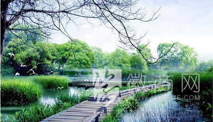 湿地公园 合肥 2014年