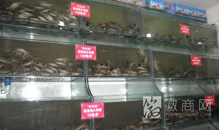 螃蟹 公款消费 螃蟹专卖店