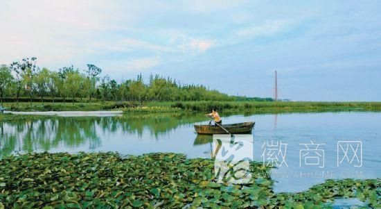 包河区东大圩 大张圩 <a href='display.asp?id=9026' target='_blank'>牛角大圩</a>