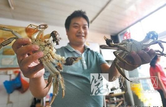 合肥螃蟹上市量激增 合肥螃蟹大量上市