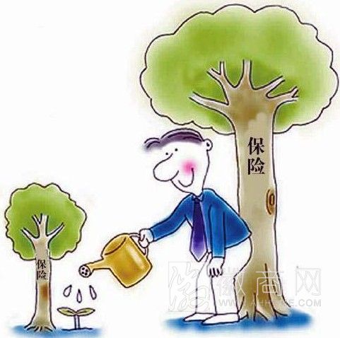 2013安徽保险业 保险