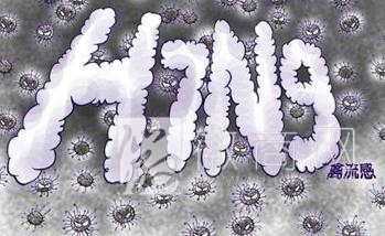 人感染<a href='display.asp?id=7205' target='_blank'>H7N9禽流感</a>病例 宁波 <a href='display.asp?id=11445' target='_blank'>阜阳</a>