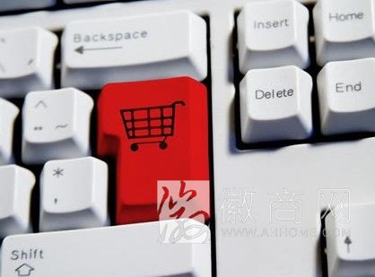 安徽<a href='display.asp?id=11575' target='_blank'>电子商务</a> <a href='display.asp?id=13906' target='_blank'>电商</a>平台