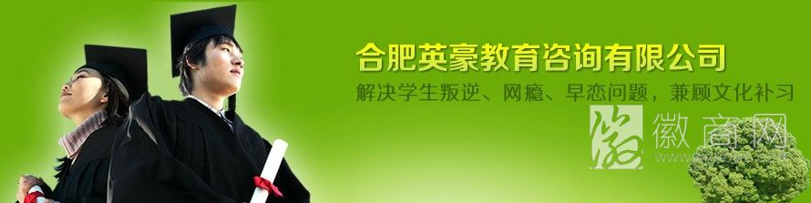 合肥英豪教育咨询有限公司 英豪教育