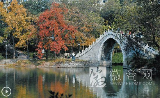 <a href='display.asp?id=9085' target='_blank'>智慧景区</a> wifi 合肥