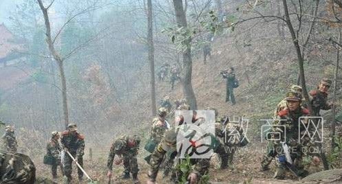 安庆大龙山森林公园火灾 森林火灾