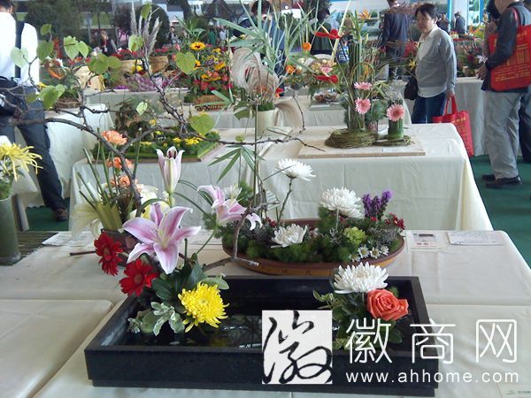 2014合肥<a href='display.asp?id=12111'  target='_blank'>苗交会</a> <a href='display.asp?id=14024'  target='_blank'>肥西</a>中部花木城
