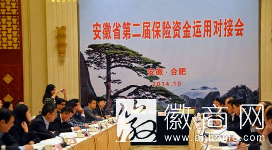安徽保险资金对接会 保险资金