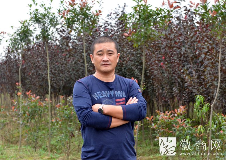 葛奇兵：合肥市群兴花木生态有限公司总经理