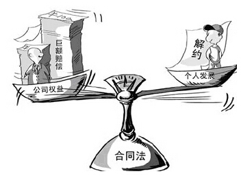诉讼保全