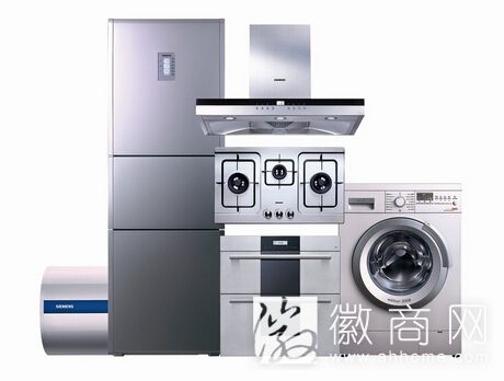 家电流通百强<a href='display.asp?id=18350' target='_blank'>企业</a>