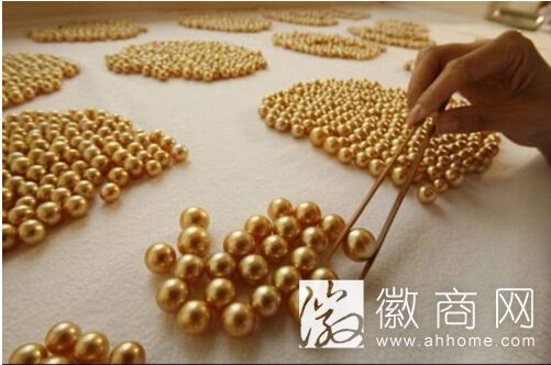 金珍珠