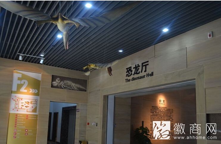 安徽省地质博物馆新馆