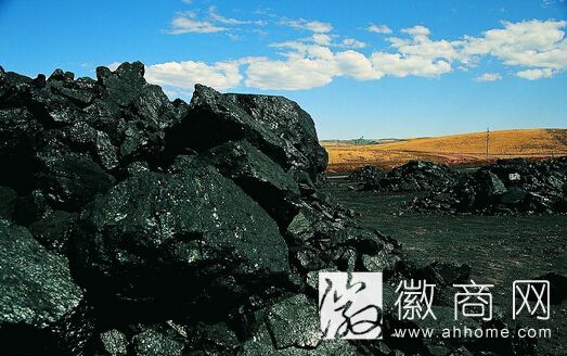 安徽煤炭价格