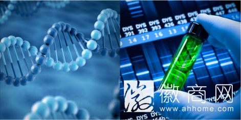 生物产业