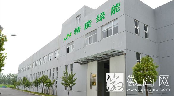 安徽精能绿色能源有限公司