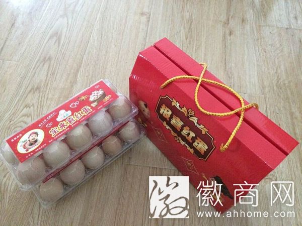 合肥巢春商贸有限公司