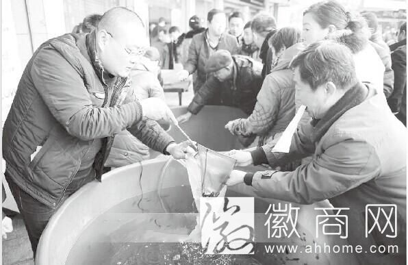 <a href='display.asp?id=11445'  target='_blank'>阜阳</a>休闲<a href='display.asp?id=11578'  target='_blank'>渔业</a>产值已达1.2亿元 
