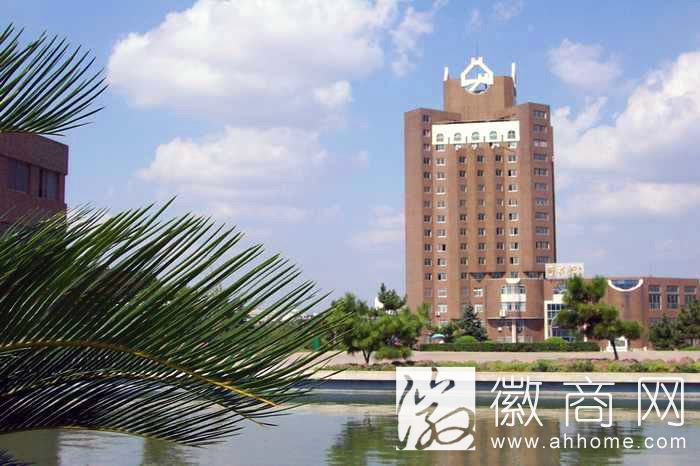 <a href='display.asp?id=11626' target='_blank'>中科大</a>研制出新型透明柔性导电材料 发表于《德国应用化学》