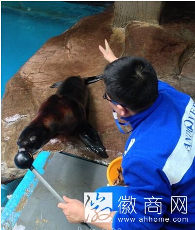 <a href='display.asp?id=7219'  target='_blank'>合肥海洋世界</a>二期表演馆