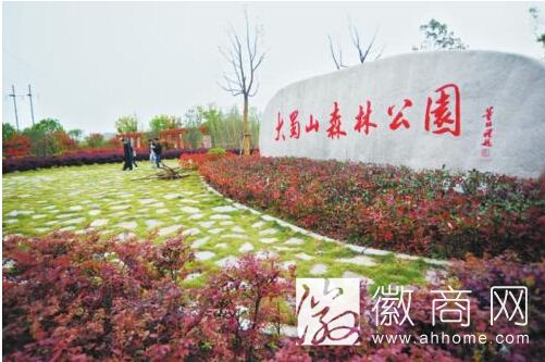 合肥大蜀山公园
