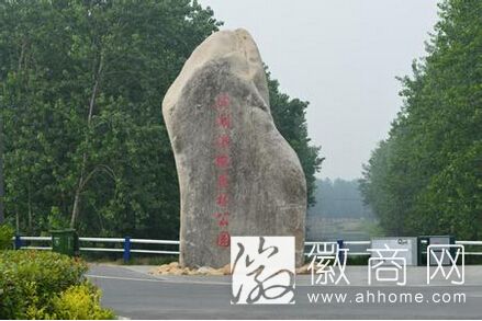 合肥滨湖湿地公园