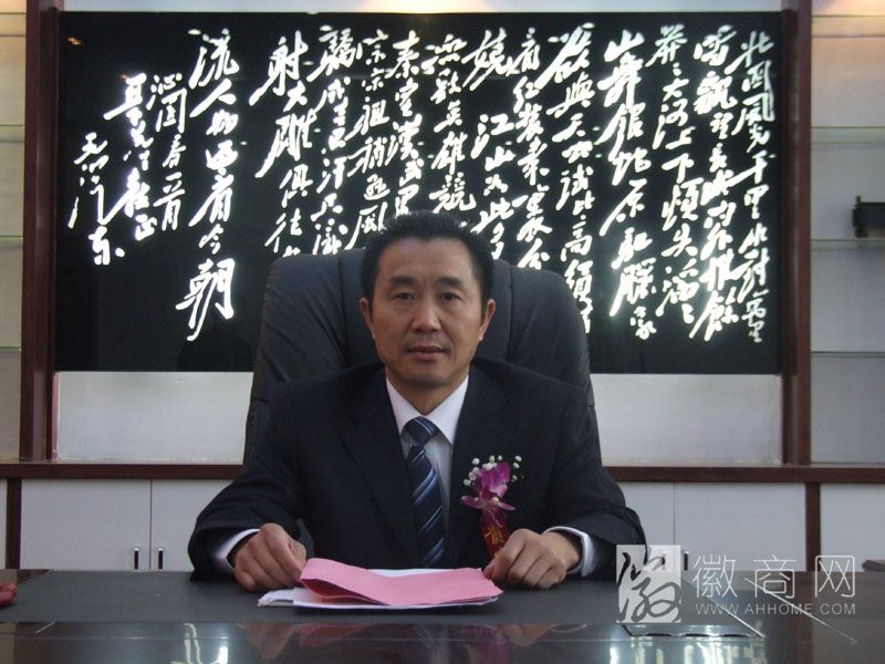 叶明龙 安徽特力电缆有限公司