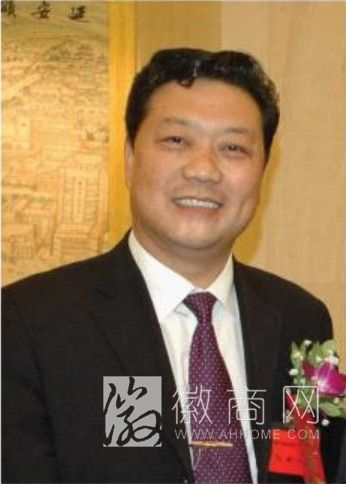 杨梦君 四川徽风投资管理有限公司 徽风投资杨梦君